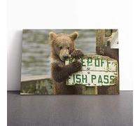 Brown Bear Cub Canvas Wall Art Picture Print - Framed Painting - Modern Home Décor Poster - Ready to Hang Artwork for Living Room Bedroom Kitchen - 24x16 Inch