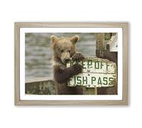 Brown Bear Cub Framed Print | A2 Oak Framed Wall Art | Ready to Hang | Modern Animal Picture | Living Room Bedroom Lounge Office