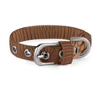 Brown Bear Pet Collar Oxford Adjustable Safety Dog Collars Cute Outdoor Training Pet Collars Easy Clean Floral Print Puppy Collar for City Pet Owners