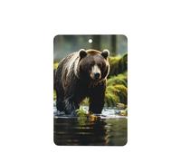 Brown Bear Pounce Pattern Car Air Fresheners 4 Pcs Rectangle Hanging Aromatherapy Tablets Scented Fresheners For Bedroom Bathroom