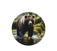 Brown Bear Pounce Pattern Car Air Fresheners 4 Pcs Round Shape Hanging Aromatherapy Tablets Scented Fresheners For Bedroom Bathroom