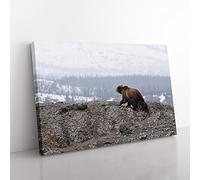 Brown Bear with Cubs No.2 Modern Canvas Wall Art Print Ready to Hang, Framed Picture for Living Room Bedroom Home Office Décor, 76x50 cm (30x20 Inch)