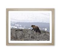 Brown Bear with Cubs No.2 Modern Framed Wall Art Print, Ready to Hang Picture for Living Room Bedroom Home Office Décor, Oak A4 (34 x 25 cm)