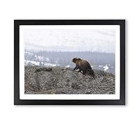 Brown Bear with Cubs No.2 Modern Framed Wall Art Print, Ready to Hang Picture for Living Room Bedroom Home Office Décor, Black A3 (46 x 34 cm)