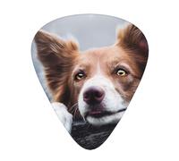 Brown Border Collie Bokeh God With Yellow Eyes,12 Pcs Guitar Pick,3 Different Thickness Plectrums for Acoustic Guitar Bass Ukulele (0.46mm 0.96mm 0.71mm)