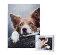 Brown Border Collie Bokeh God With Yellow Eyes,500 Pieces Wooden Jigsaw Family Game Jigsaw Puzzles for Adults Teens