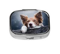 Brown Border Collie Bokeh God with Yellow Eyes,Meta Pill Box 2 Compartment Medicine Case,Portable Organizer,Rectangle Meta Portable Organizer Pill Box 634 Compartment Medicine Case