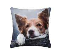 Brown Border Collie Bokeh God With Yellow Eyes, Pillow Cover Decorative Throw Pillowcase Soft Polyester Cushion Covers 45x45 cm