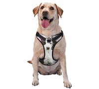 Brown Border Collie Spring Dogs With Flowers,Pet Harness,Adjustable Reflective Dog Harness,Pet Leash Vest,S