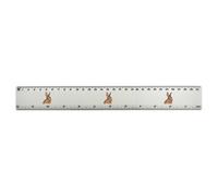 'Brown Bunny Rabbit' 30cm (12 Inch) White Plastic Ruler (RL00087048)