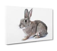 Brown Bunny Rabbit Canvas Print | Gallery Wrapped 30mm Frame Wall Art | 30x20 inches | Ready to Hang | Modern Animals Picture | Living Room Bedroom Lounge Office