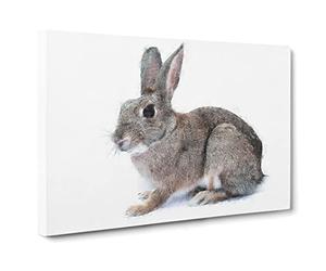 Brown Bunny Rabbit Canvas Print | Gallery Wrapped 30mm Frame Wall Art | 30x20 inches | Ready to Hang | Modern Animals Picture | Living Room Bedroom Lounge Office