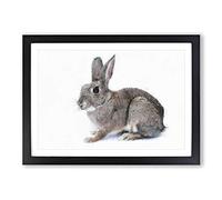 Brown Bunny Rabbit Painting Framed Print | A2 Black Framed Wall Art | Ready to Hang | Modern Animal Picture | Living Room Bedroom Lounge Office