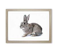 Brown Bunny Rabbit Painting Framed Print | A2 Oak Framed Wall Art | Ready to Hang | Modern Animal Picture | Living Room Bedroom Lounge Office