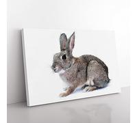 Brown Bunny Rabbit Painting Modern Art Canvas Wall Art Print Ready to Hang, Framed Picture for Living Room Bedroom Home Office Décor, 50x35 cm (20x14 Inch)