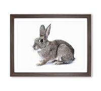 Brown Bunny Rabbit Painting Modern Art Framed Print | A2 Walnut Framed Wall Art | Ready to Hang | Modern Animal Picture | Living Room Bedroom Lounge Office