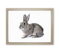 Brown Bunny Rabbit Painting Modern Art Framed Wall Art Print, Ready to Hang Picture for Living Room Bedroom Home Office Décor, Oak A4 (34 x 25 cm)