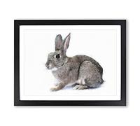 Brown Bunny Rabbit Painting Modern Art Framed Wall Art Print, Ready to Hang Picture for Living Room Bedroom Home Office Décor, Black A4 (34 x 25 cm)