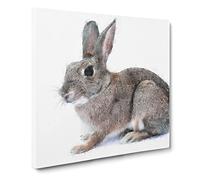 Brown Bunny Rabbit Painting Modern Canvas Wall Art Print Ready to Hang, Framed Picture for Living Room Bedroom Home Office Décor, 20x20 Inch (50x50 cm)
