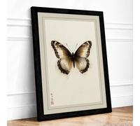 Brown Butterfly Specimen Botanical Framed Wall Art Print A4 (29.7×21cm) Black, Wall Decor for Living Room, Bedroom, Office & Home, Ready to Hang, Art Gift