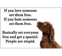 Brown Cocker Sprocker Spaniel Fridge Magnet - Get a Spaniel