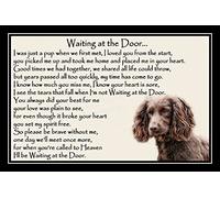 Brown Cocker Sprocker Spaniel Pet Dog Bereavement Memorial Print (unframed) - Waiting at The Door