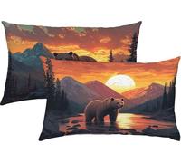Brown Cushion Covers 40 x 60 cm 2 pack, Bear Outdoor Cushions Waterproof Velvet with Invisible Zipper, Soft, Comfort, Durable Pillow Cases for Bed, Sofa, Garden, Ideal Home Decor for All Seasons K3-8