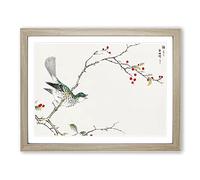 Brown Eared Bulbul Bird By Numata Kashu Asian Japanese Framed Wall Art Print, Ready to Hang Picture for Living Room Bedroom Home Office Décor, Oak A4 (34 x 25 cm)