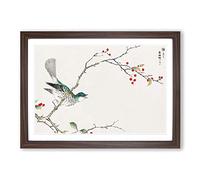 Brown-Eared Bulbul Bird by Numata Kashu Framed Print | A2 Walnut Framed Wall Art | Ready to Hang | Modern Nature Picture | Living Room Bedroom Lounge Office