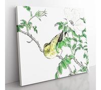 Brown eared Bulbul Bird & White Wild Rose by Numata Kashu Asian Japanese Canvas Wall Art Print Ready to Hang, Framed Picture for Living Room Bedroom Home Office Décor, 35x35 cm (14x14 Inch)