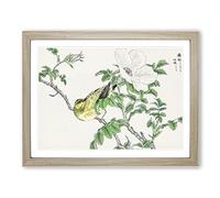 Brown Eared Bulbul Bird & White Wild Rose By Numata Kashu Asian Japanese Framed Wall Art Print, Ready to Hang Picture for Living Room Bedroom Home Office Décor, Oak A4 (34 x 25 cm)