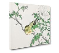 Brown eared Bulbul Bird & White Wild Rose by Numata Kashu Canvas Print | Gallery Wrapped 30mm Frame Wall Art | 20x20 inches | Ready to Hang | Asian Animals Picture | Living Room Bedroom Lounge Office