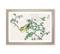 Brown-Eared Bulbul Bird & White Wild Rose by Numata Kashu Framed Print | A2 Oak Framed Wall Art | Ready to Hang | Modern Floral Picture | Living Room Bedroom Lounge Office