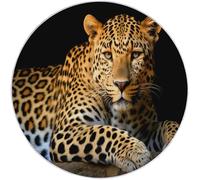 Brown Easy to Clean Round Area Rugs, Simple Animal Leopard Print Theme Carpet, Low-Pile Home Decoration Carpet with Non-Slip Backing for Living Room Bedroom Bedside Kids Rug, 100cm