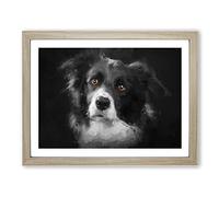 Brown Eyed Border Collie Dog In Abstract Modern Art Framed Print | A3 Oak Framed Wall Art | Ready to Hang | Abstract Animal Picture | Living Room Bedroom Lounge Office