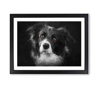 Brown Eyed Border Collie Dog In Abstract Modern Art Framed Wall Art Print, Ready to Hang Picture for Living Room Bedroom Home Office Décor, Black A3 (46 x 34 cm)