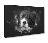 Brown Eyed Border Collie Dog Paint Splash Canvas Print | Gallery Wrapped 30mm Frame Wall Art | 20x14 inches | Ready to Hang | Modern Animals Picture | Living Room Bedroom Lounge Office