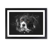 Brown Eyed Border Collie Dog Paint Splash Framed Print | A2 Black Framed Wall Art | Ready to Hang | Modern Animal Picture | Living Room Bedroom Lounge Office