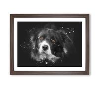 Brown Eyed Border Collie Dog Paint Splash Modern Art Framed Print | A3 Walnut Framed Wall Art | Ready to Hang | Modern Animal Picture | Living Room Bedroom Lounge Office