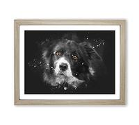 Brown Eyed Border Collie Dog Paint Splash Modern Art Framed Print | A4 Oak Framed Wall Art | Ready to Hang | Modern Animal Picture | Living Room Bedroom Lounge Office