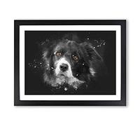 Brown Eyed Border Collie Dog Paint Splash Modern Art Framed Wall Art Print, Ready to Hang Picture for Living Room Bedroom Home Office Décor, Black A3 (46 x 34 cm)