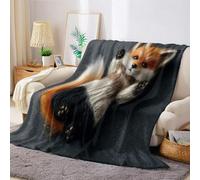 Brown Flannel Fleece Throw Blanket 130 x 150 cm Cartoon cute fox Soft Warm Lightweight Cozy Sofa Couch Bed Chair Kids Adults Decorative Blanket