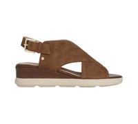 Brown Flat Sandals D Pisa - female - Geox - Wedges - Brown - 4 1/2 UK - Shoes 4 1/2 UK