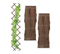 Brown Frame Panel Climbing Extendable Trellis 30x180cm Set Wood Plant Support