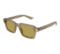 Brown/Green / 50