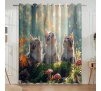 Brown Green Kitten Looking Up Fallen Leaves Mushrooms Darkening Curtains to hang Polyester Blackout curtains for Living Room W 52" x L 72" (2 Panels)