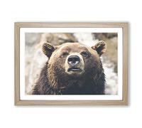 Brown Grizzly Bear Framed Print | A2 Oak Framed Wall Art | Ready to Hang | Modern Animal Picture | Living Room Bedroom Lounge Office