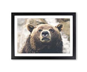 Brown Grizzly Bear Framed Print | A2 Oak Framed Wall Art | Ready to Hang | Modern Animal Picture | Living Room Bedroom Lounge Office