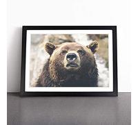Brown Grizzly Bear | Framed Wall Art Print | Modern Home Decor Picture | Ready to Hang Artwork for Living Room, Bedroom, Kitchen or Office | Multiple Sizes