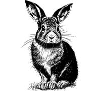 'Brown Hare Rabbit' Rubber Stamp - Unmounted Design for Crafting & Scrapbooking, A7 (RS00050633)